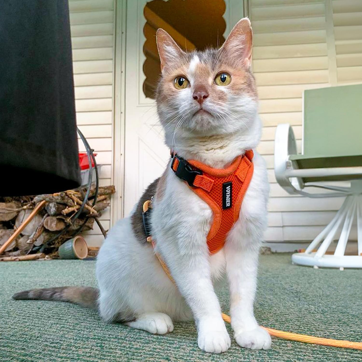 image:imageVoyager EscapeProof Stepin Lock Cat Harness amp 5ft NeopreneHandle Leash Set AllWeather Mesh with Reflective Stitching for Small to Large Cats by Best Pet Supplies Lavender 327 XXSHarness Leash Set Orange