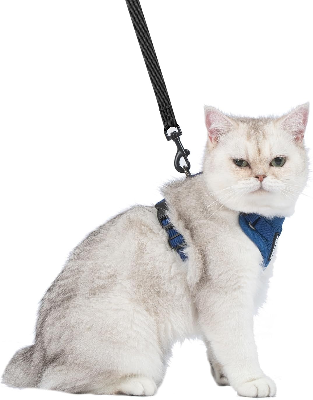 image:imageVoyager EscapeProof Stepin Lock Cat Harness amp 5ft NeopreneHandle Leash Set AllWeather Mesh with Reflective Stitching for Small to Large Cats by Best Pet Supplies Lavender 327 XXSHarness Leash Set Royal Blue