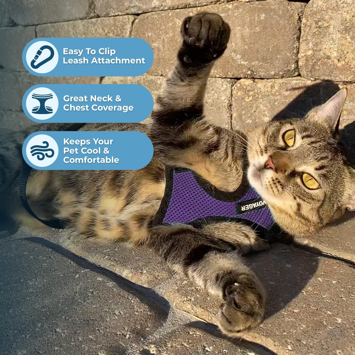 image:imageVoyager EscapeProof Stepin Lock Cat Harness amp 5ft NeopreneHandle Leash Set AllWeather Mesh with Reflective Stitching for Small to Large Cats by Best Pet Supplies Lavender 327 XXSHarness Leash Set PurpleBlack Trim