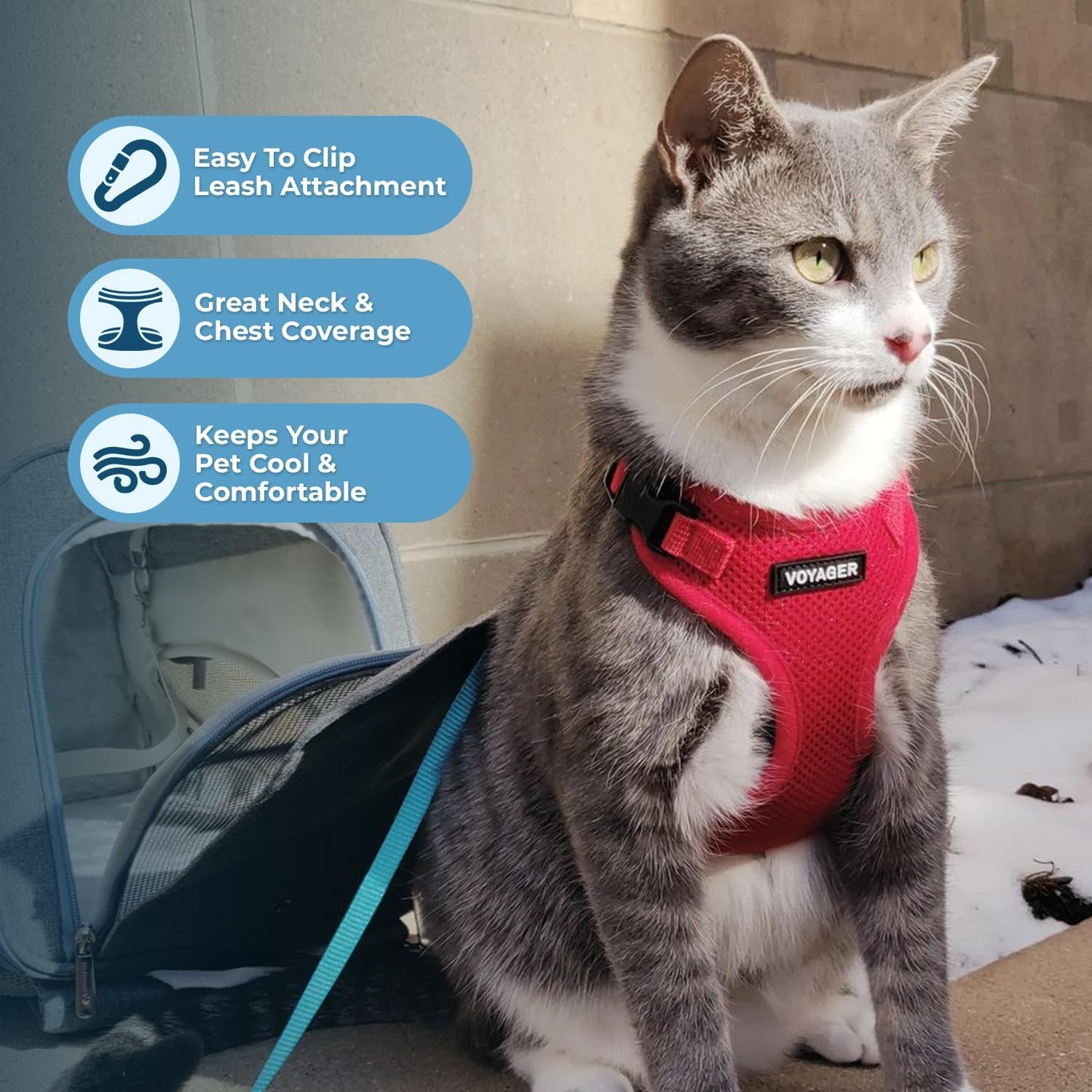 image:imageVoyager EscapeProof Stepin Lock Cat Harness amp 5ft NeopreneHandle Leash Set AllWeather Mesh with Reflective Stitching for Small to Large Cats by Best Pet Supplies Lavender 327 XXSHarness Leash Set Red