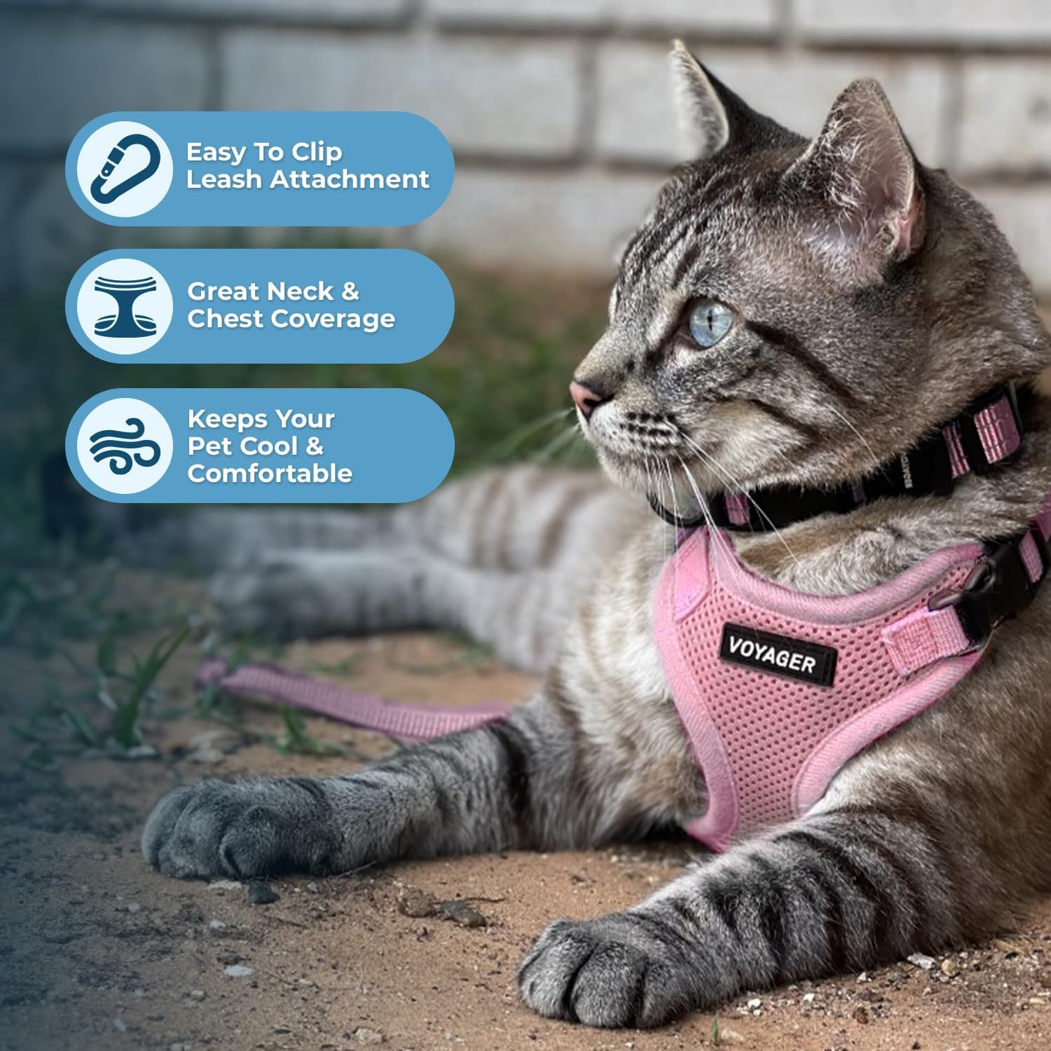 image:imageVoyager EscapeProof Stepin Lock Cat Harness amp 5ft NeopreneHandle Leash Set AllWeather Mesh with Reflective Stitching for Small to Large Cats by Best Pet Supplies Lavender 327 XXSHarness Leash Set Pink