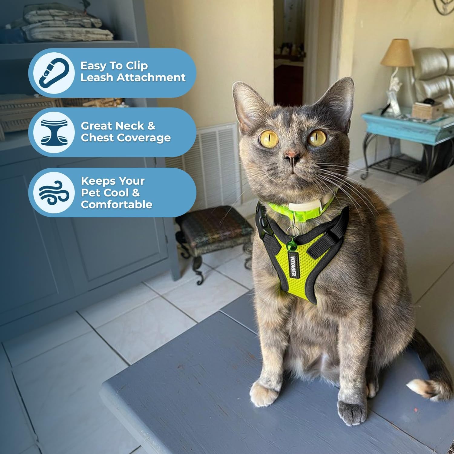 image:imageVoyager EscapeProof Stepin Lock Cat Harness amp 5ft NeopreneHandle Leash Set AllWeather Mesh with Reflective Stitching for Small to Large Cats by Best Pet Supplies Lavender 327 XXSHarness Leash Set Lime GreenBlack Trim