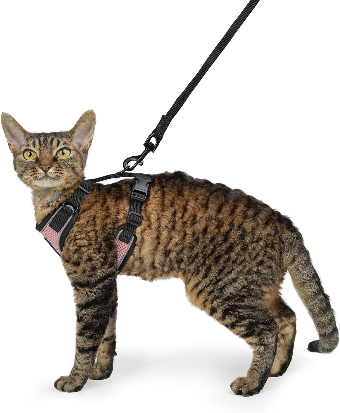 image:imageVoyager EscapeProof Stepin Lock Cat Harness amp 5ft NeopreneHandle Leash Set AllWeather Mesh with Reflective Stitching for Small to Large Cats by Best Pet Supplies Lavender 327 XXSHarness Leash Set PinkBlack Trim