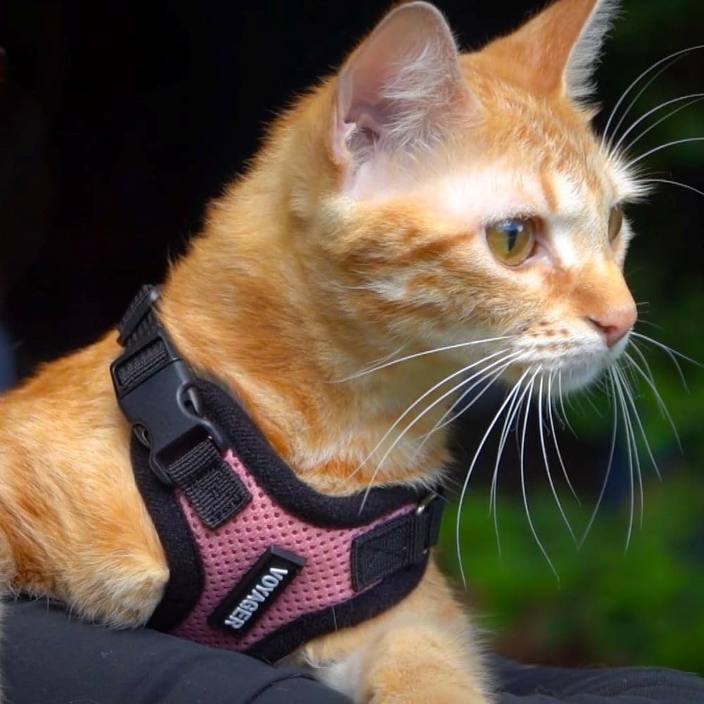 image:imageVoyager EscapeProof Stepin Lock Cat Harness amp 5ft NeopreneHandle Leash Set AllWeather Mesh with Reflective Stitching for Small to Large Cats by Best Pet Supplies Lavender 327 XXSHarness Leash Set TurquoiseBlack Trim