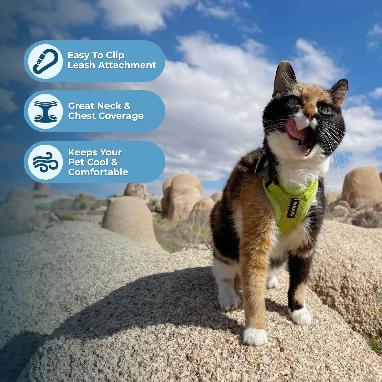 image:imageVoyager EscapeProof Stepin Lock Cat Harness amp 5ft NeopreneHandle Leash Set AllWeather Mesh with Reflective Stitching for Small to Large Cats by Best Pet Supplies Lavender 327 XXSHarness Leash Set Lime Green