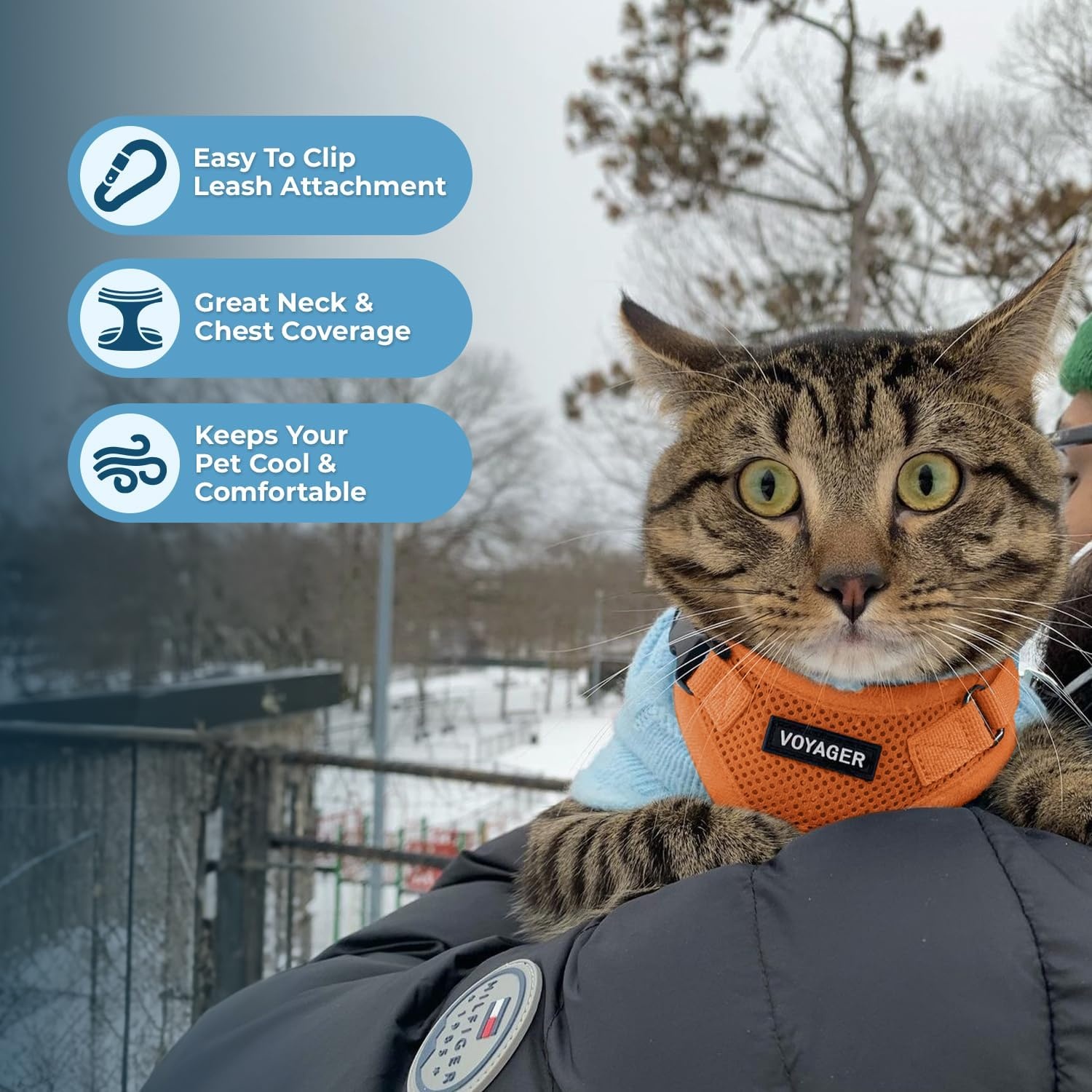 image:imageVoyager EscapeProof Stepin Lock Cat Harness amp 5ft NeopreneHandle Leash Set AllWeather Mesh with Reflective Stitching for Small to Large Cats by Best Pet Supplies Lavender 327 XXSHarness Leash Set Orange