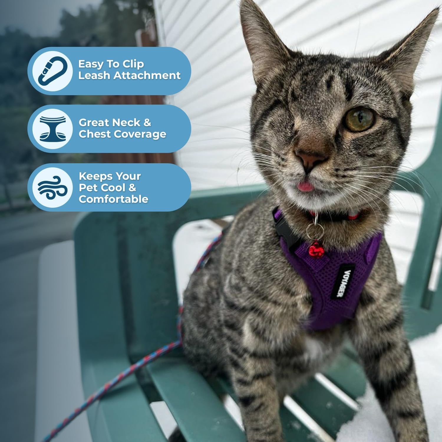 image:imageVoyager EscapeProof Stepin Lock Cat Harness amp 5ft NeopreneHandle Leash Set AllWeather Mesh with Reflective Stitching for Small to Large Cats by Best Pet Supplies Lavender 327 XXSHarness Leash Set Purple