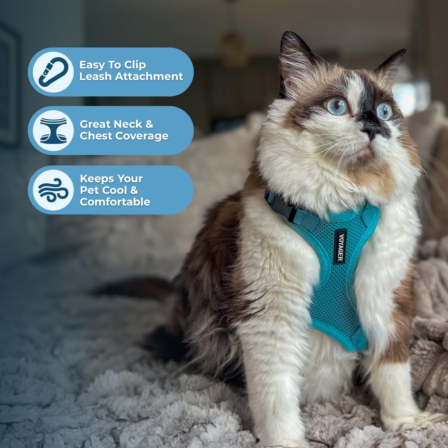 image:imageVoyager EscapeProof Stepin Lock Cat Harness amp 5ft NeopreneHandle Leash Set AllWeather Mesh with Reflective Stitching for Small to Large Cats by Best Pet Supplies Lavender 327 XXSHarness Leash Set Turquoise