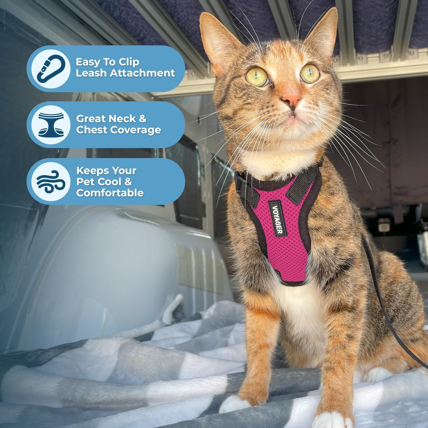 image:imageVoyager EscapeProof Stepin Lock Cat Harness amp 5ft NeopreneHandle Leash Set AllWeather Mesh with Reflective Stitching for Small to Large Cats by Best Pet Supplies Lavender 327 XXSHarness Leash Set FuchsiaBlack Trim