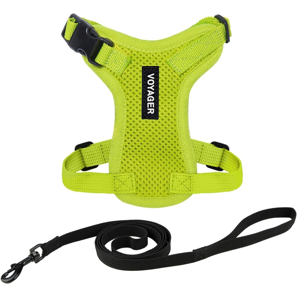 image:imageVoyager EscapeProof Stepin Lock Cat Harness amp 5ft NeopreneHandle Leash Set AllWeather Mesh with Reflective Stitching for Small to Large Cats by Best Pet Supplies Lavender 327 XXSHarness Leash Set Lime Green