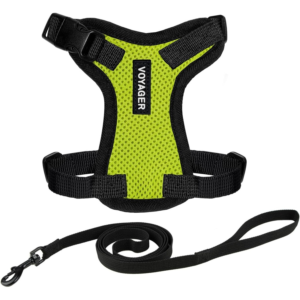 image:imageVoyager EscapeProof Stepin Lock Cat Harness amp 5ft NeopreneHandle Leash Set AllWeather Mesh with Reflective Stitching for Small to Large Cats by Best Pet Supplies Lavender 327 XXSHarness Leash Set Lime GreenBlack Trim