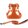 Harness Leash Set (Orange)