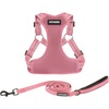 Harness Leash Set (Pink)
