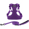 Harness Leash Set (Purple)