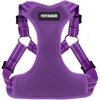 Harness (Purple)