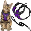 Black Trim-Purple (327)