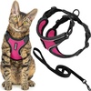 Black Trim-Fuchsia (327)