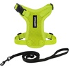 Harness Leash Set (Lime Green)