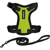 Harness Leash Set (Lime Green/Black Trim)