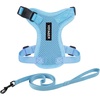 Harness Leash Set (Baby Blue)