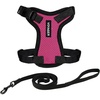 Harness Leash Set (Fuchsia/Black Trim)