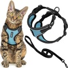 Black Trim-Baby Blue (327)