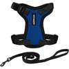Harness Leash Set (Royal Blue/Black Trim)