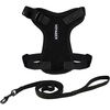 Harness Leash Set (Black)