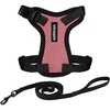 Harness Leash Set (Pink/Black Trim)
