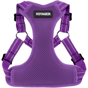 image:imageBest Pet Supplies Voyager Adjustable Stepin Flex Breathable Mesh Dog Harness for Small Medium Large Dogs Leash Set Army Base SHarness Purple