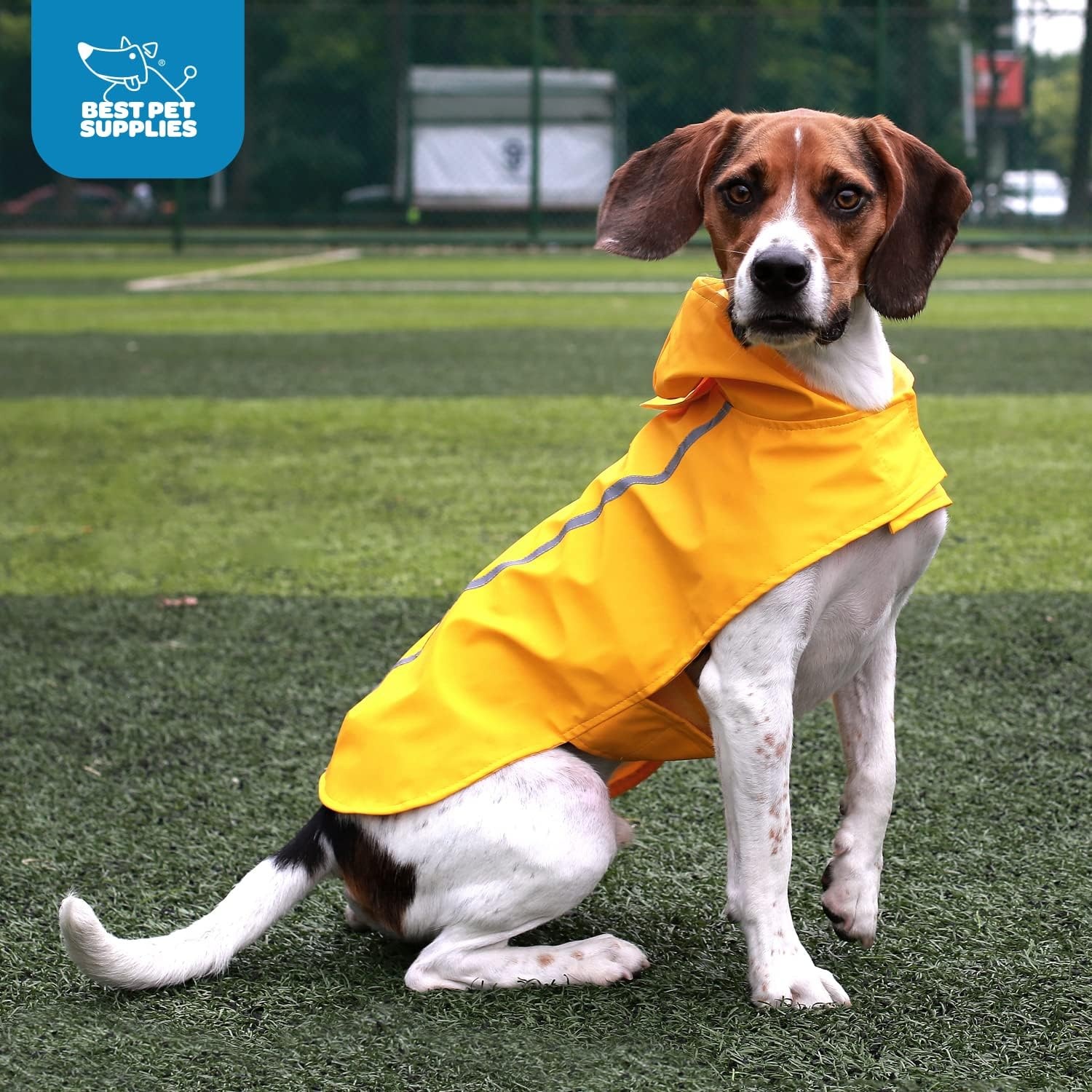 image:imageVoyager Dog Windbreaker by Best Pet Supplies Fuchsia XSmall
