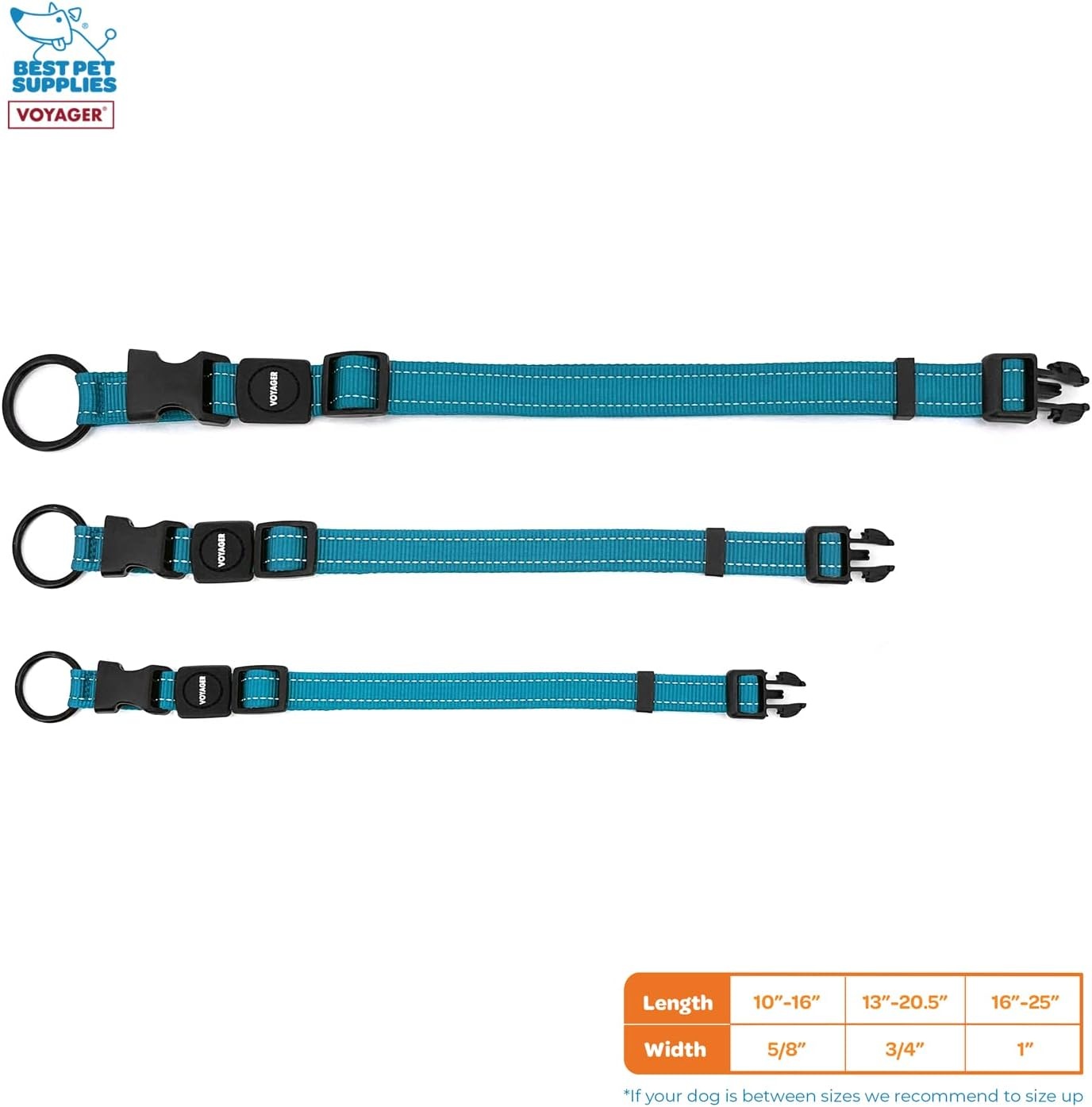 image:imageBest Pet Supplies Voyager Reflective Dog Leash or Collar with Neoprene Handle for Small Medium and Large Breed Puppies Cute and Heavy Duty for Walking Running and Training Royal Blue MCollar Turquoise