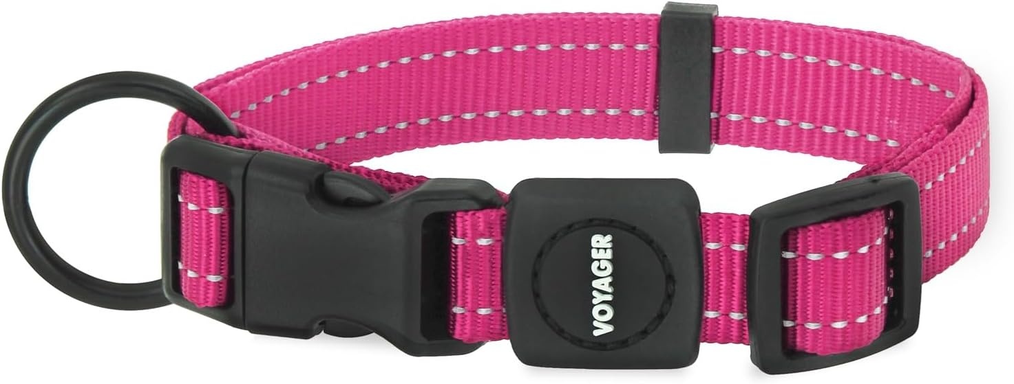 image:imageBest Pet Supplies Voyager Reflective Dog Leash or Collar with Neoprene Handle for Small Medium and Large Breed Puppies Cute and Heavy Duty for Walking Running and Training Royal Blue MCollar Fuchsia