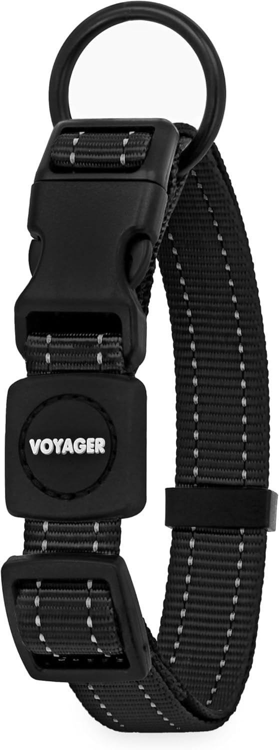 image:imageBest Pet Supplies Voyager Reflective Dog Leash or Collar with Neoprene Handle for Small Medium and Large Breed Puppies Cute and Heavy Duty for Walking Running and Training Royal Blue MCollar Black