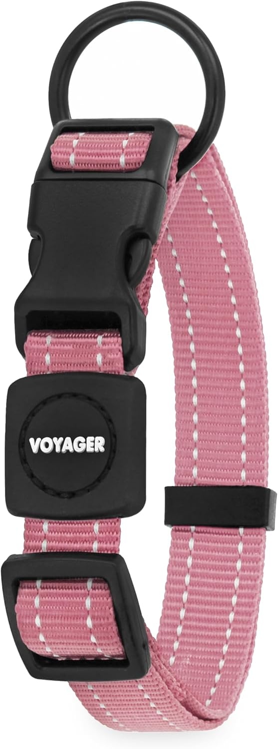 image:imageBest Pet Supplies Voyager Reflective Dog Leash or Collar with Neoprene Handle for Small Medium and Large Breed Puppies Cute and Heavy Duty for Walking Running and Training Royal Blue MCollar Pink