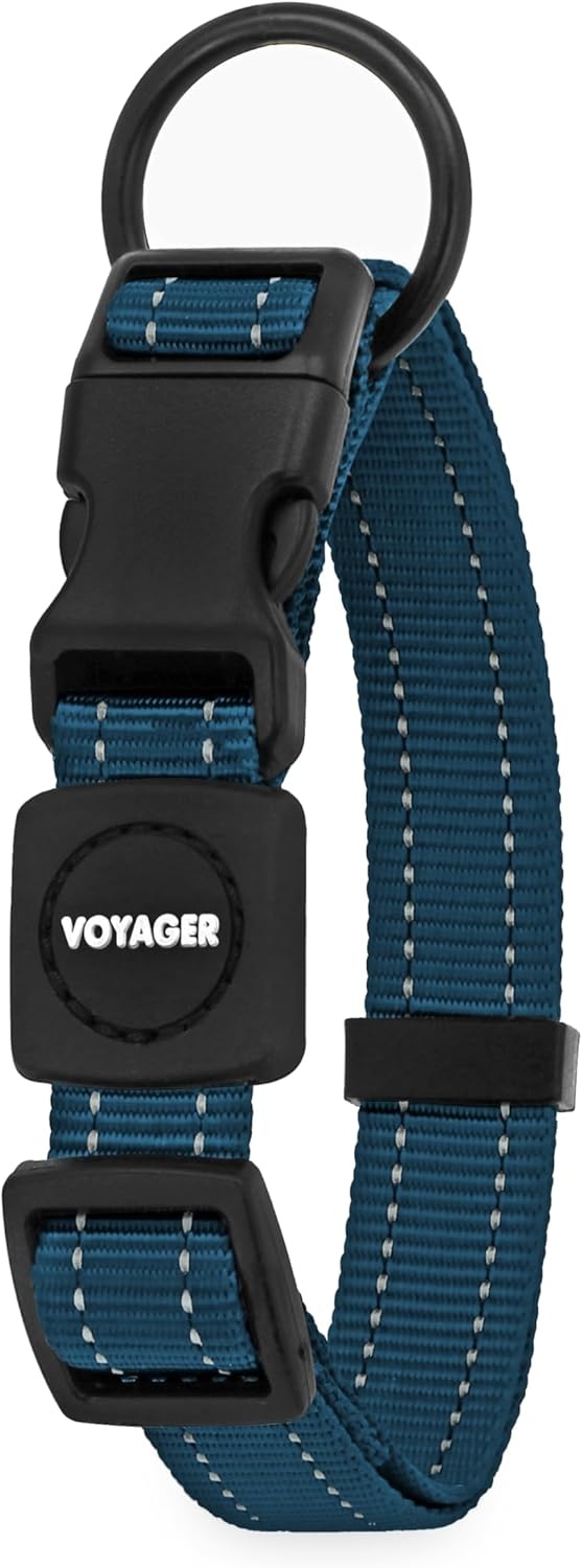 image:imageBest Pet Supplies Voyager Reflective Dog Leash or Collar with Neoprene Handle for Small Medium and Large Breed Puppies Cute and Heavy Duty for Walking Running and Training Royal Blue MCollar Blue