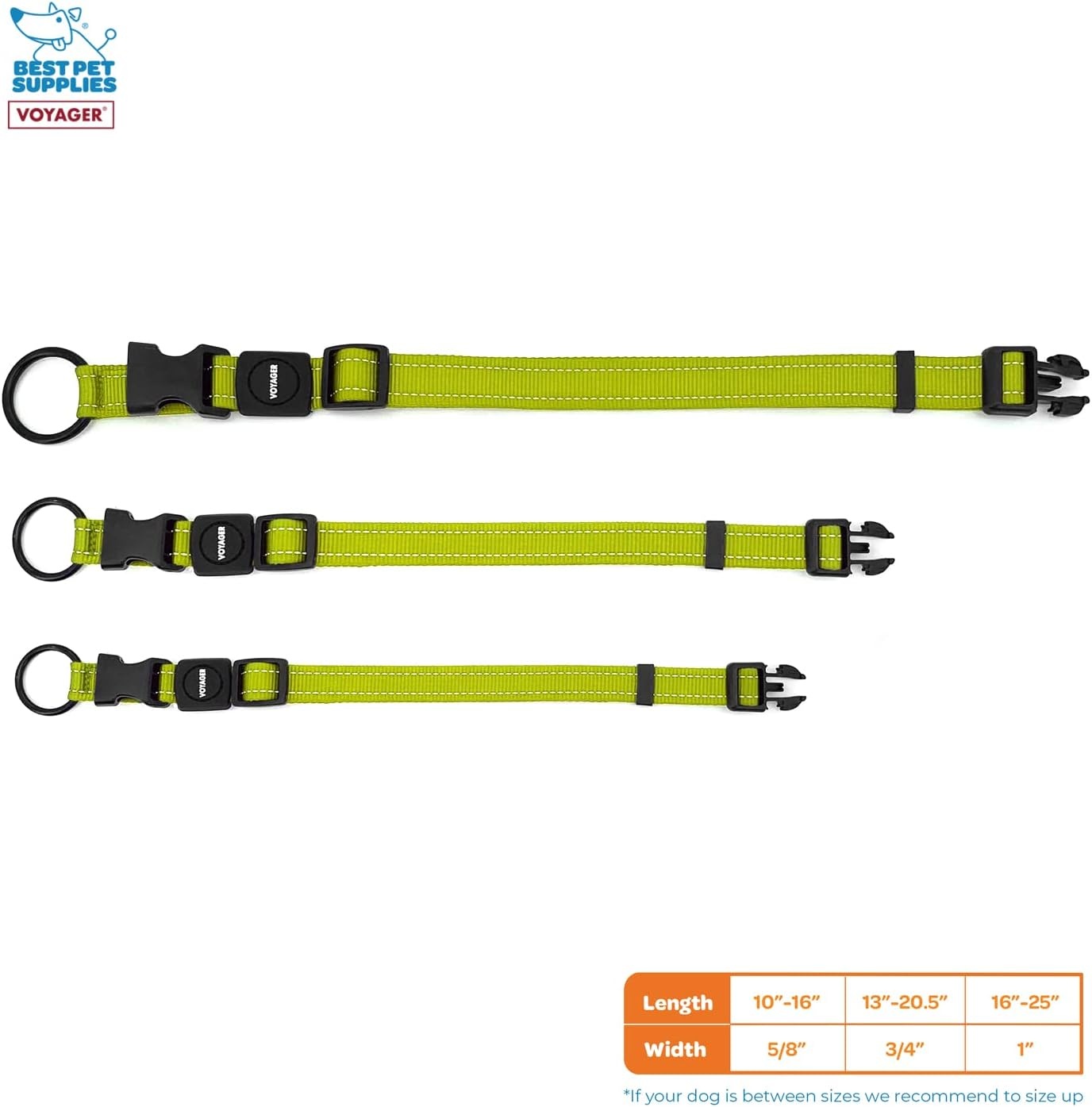 image:imageBest Pet Supplies Voyager Reflective Dog Leash or Collar with Neoprene Handle for Small Medium and Large Breed Puppies Cute and Heavy Duty for Walking Running and Training Royal Blue MCollar Lime Green