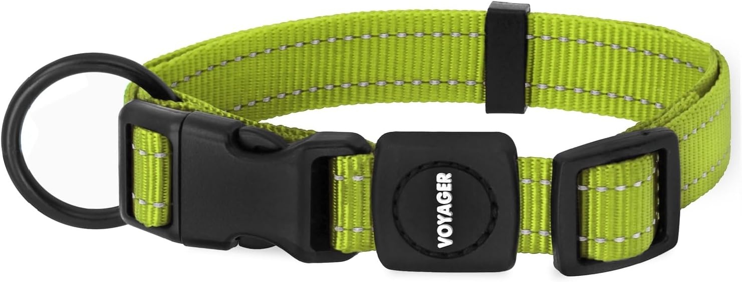 image:imageBest Pet Supplies Voyager Reflective Dog Leash or Collar with Neoprene Handle for Small Medium and Large Breed Puppies Cute and Heavy Duty for Walking Running and Training Royal Blue MCollar Lime Green