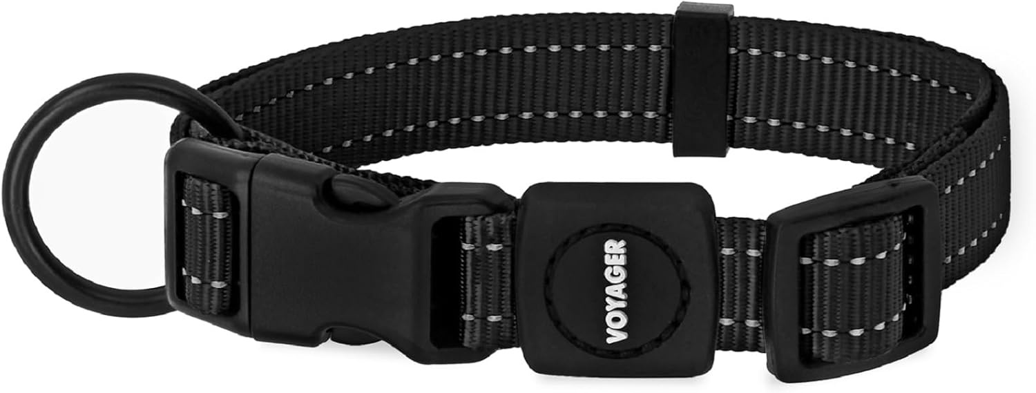 image:imageBest Pet Supplies Voyager Reflective Dog Leash or Collar with Neoprene Handle for Small Medium and Large Breed Puppies Cute and Heavy Duty for Walking Running and Training Royal Blue MCollar Black