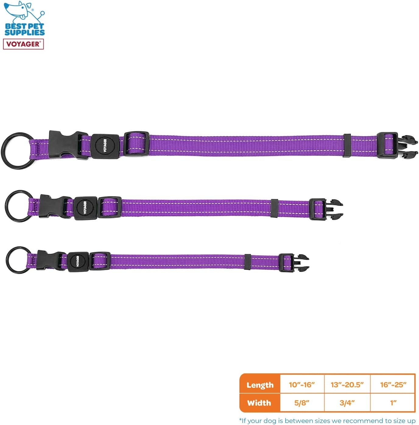 image:imageBest Pet Supplies Voyager Reflective Dog Leash or Collar with Neoprene Handle for Small Medium and Large Breed Puppies Cute and Heavy Duty for Walking Running and Training Royal Blue MCollar Purple
