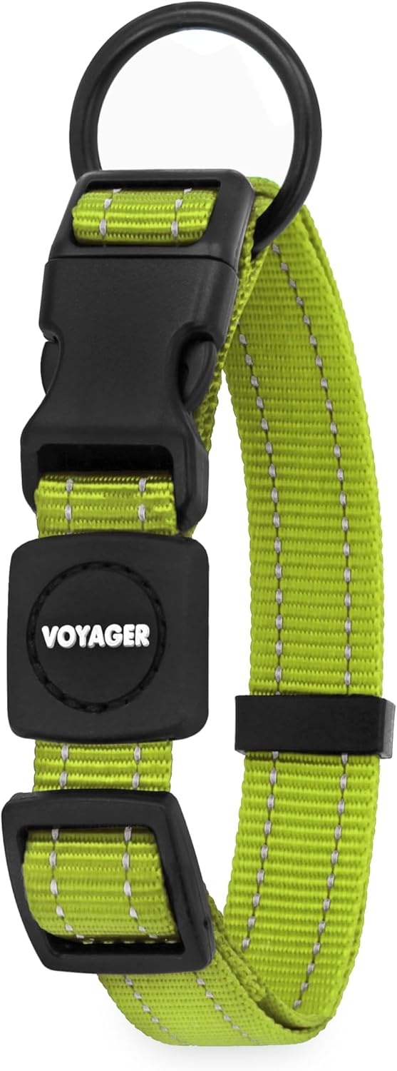 image:imageBest Pet Supplies Voyager Reflective Dog Leash or Collar with Neoprene Handle for Small Medium and Large Breed Puppies Cute and Heavy Duty for Walking Running and Training Royal Blue MCollar Lime Green