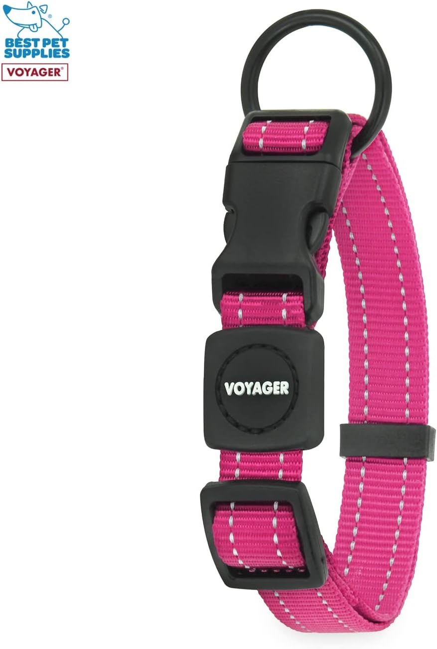 image:imageBest Pet Supplies Voyager Reflective Dog Leash or Collar with Neoprene Handle for Small Medium and Large Breed Puppies Cute and Heavy Duty for Walking Running and Training Royal Blue MCollar Fuchsia