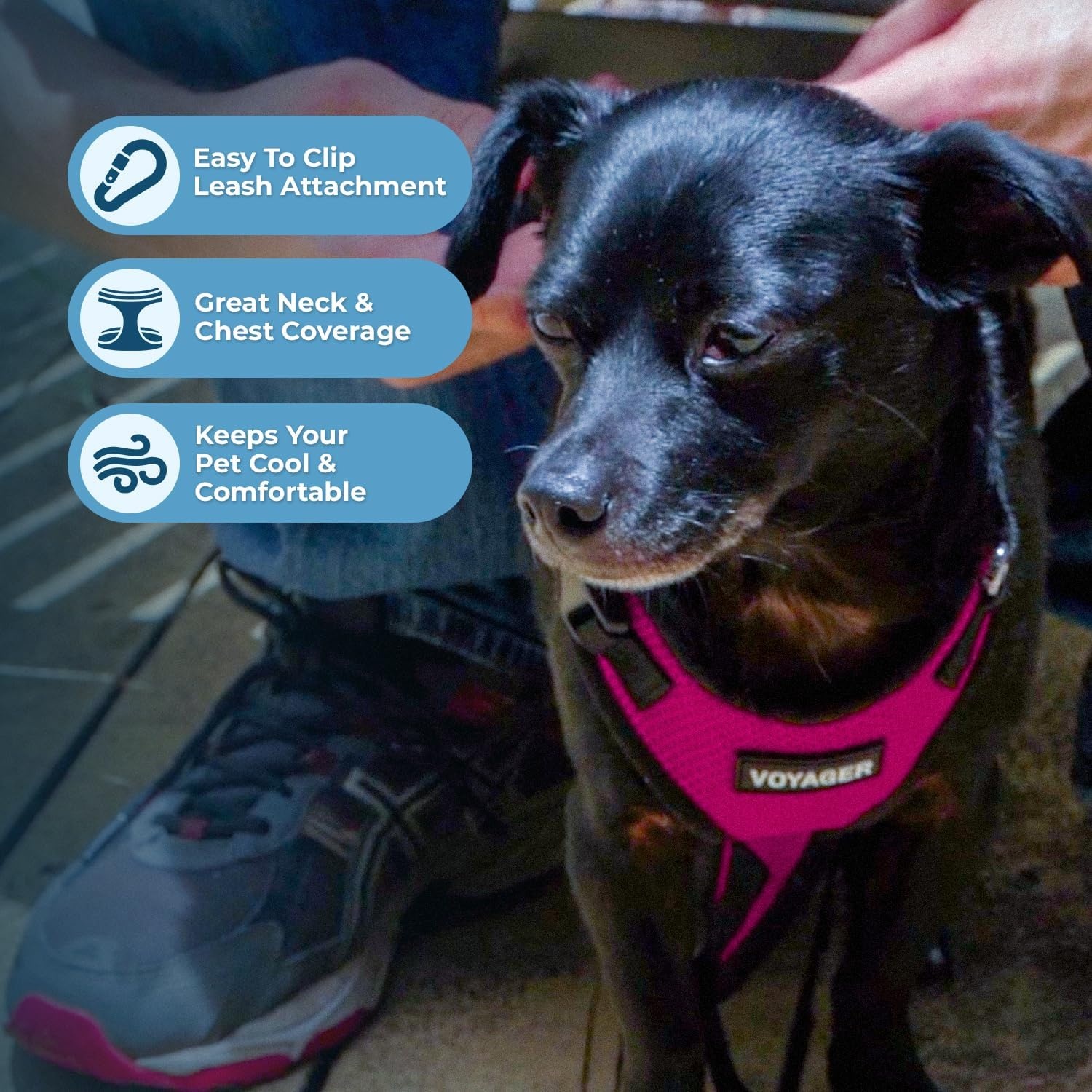 image:imageBest Pet Supplies Voyager Stepin Lock Pet Harness w Reflective Pet Leash Combo Set with Neoprene Handle 5ft Supports Small Medium and Large Breed PuppiesCats PurpleBlack Trim LHarness Leash Set FuchsiaBlack Trim