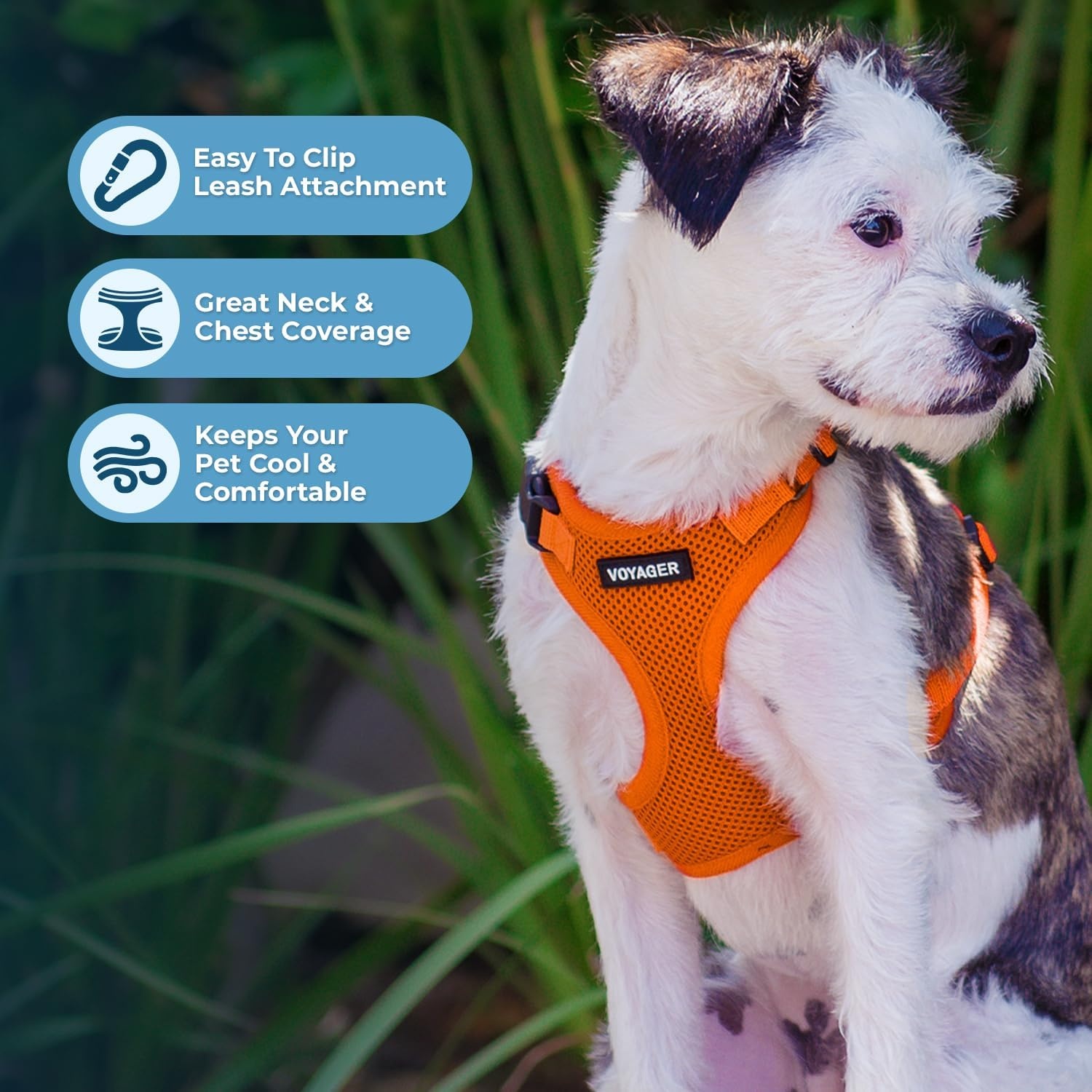 image:imageBest Pet Supplies Voyager Stepin Lock Pet Harness w Reflective Pet Leash Combo Set with Neoprene Handle 5ft Supports Small Medium and Large Breed PuppiesCats PurpleBlack Trim LHarness Leash Set Orange