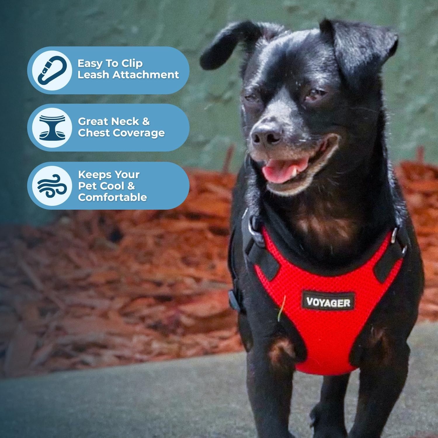 image:imageBest Pet Supplies Voyager Stepin Lock Pet Harness w Reflective Pet Leash Combo Set with Neoprene Handle 5ft Supports Small Medium and Large Breed PuppiesCats PurpleBlack Trim LHarness Leash Set RedBlack Trim