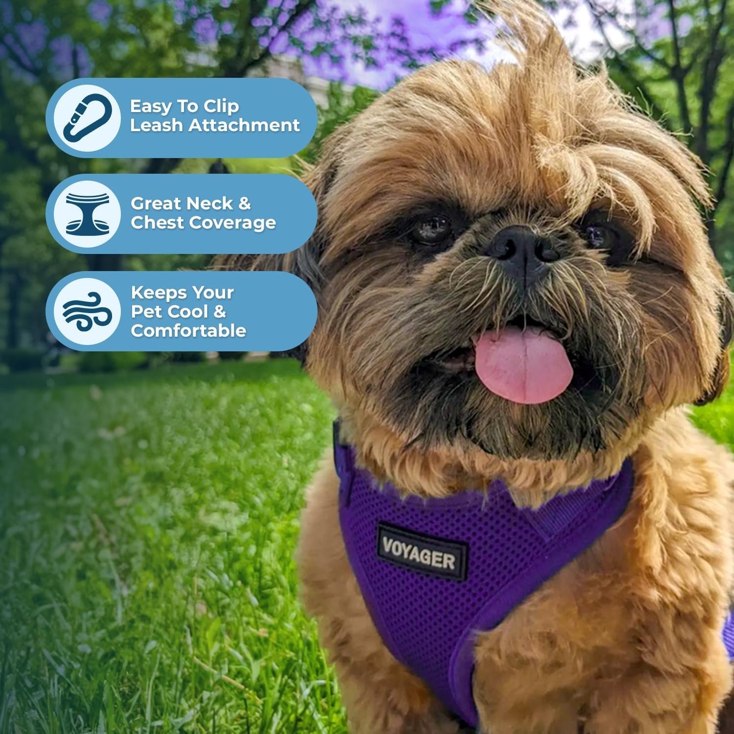 image:imageBest Pet Supplies Voyager Stepin Lock Pet Harness w Reflective Pet Leash Combo Set with Neoprene Handle 5ft Supports Small Medium and Large Breed PuppiesCats PurpleBlack Trim LHarness Leash Set Purple
