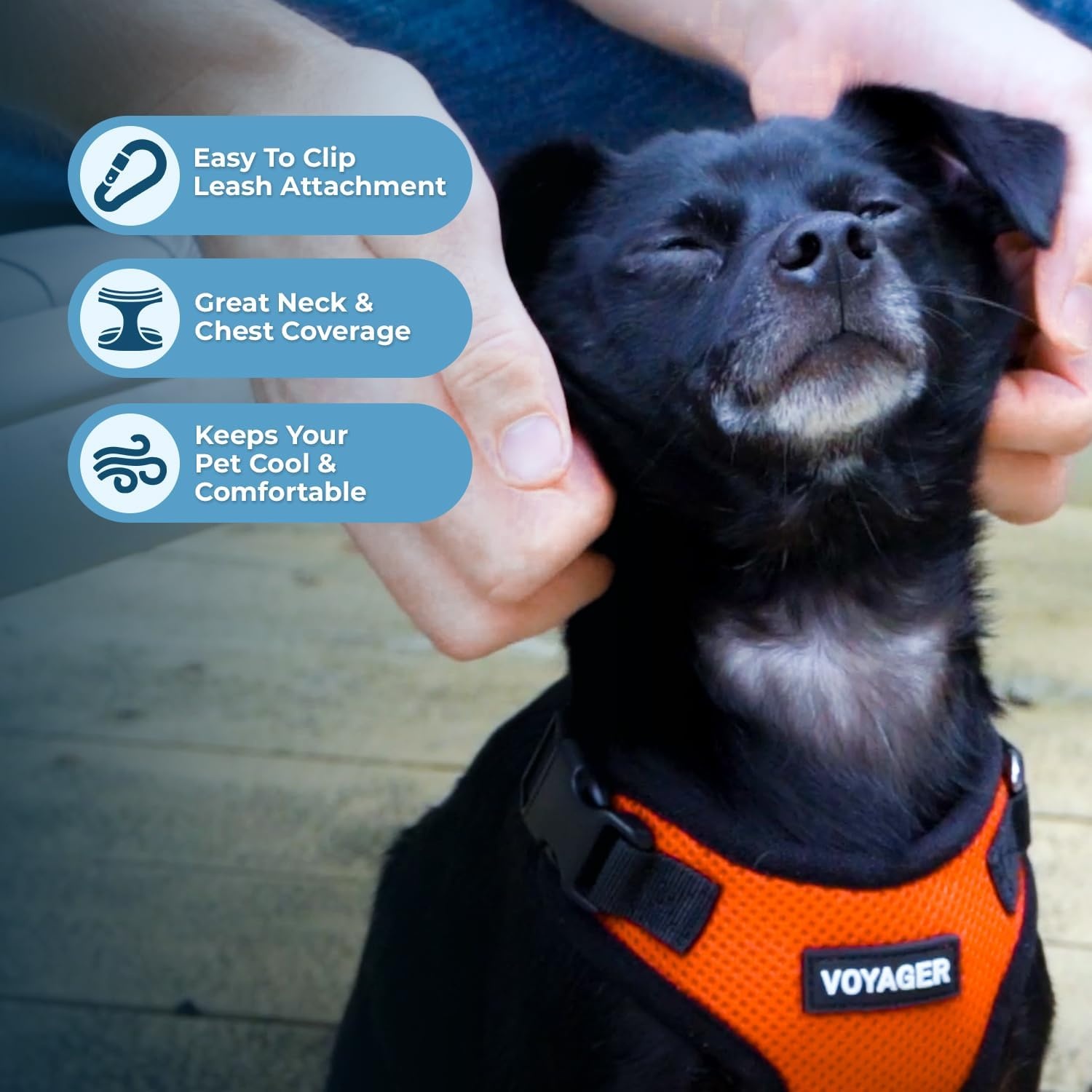 image:imageBest Pet Supplies Voyager Stepin Lock Pet Harness w Reflective Pet Leash Combo Set with Neoprene Handle 5ft Supports Small Medium and Large Breed PuppiesCats PurpleBlack Trim LHarness Leash Set OrangeBlack Trim