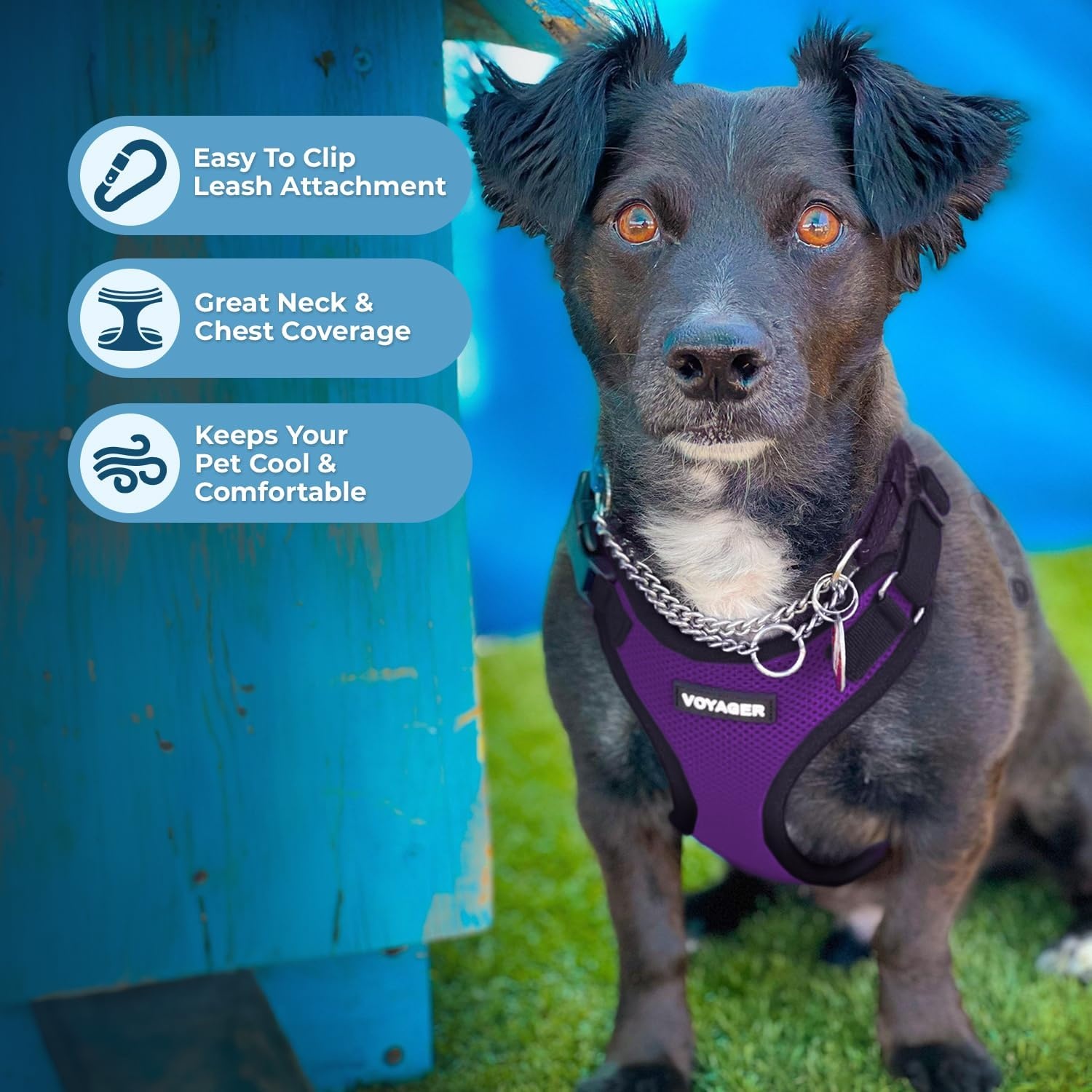 image:imageBest Pet Supplies Voyager Stepin Lock Pet Harness w Reflective Pet Leash Combo Set with Neoprene Handle 5ft Supports Small Medium and Large Breed PuppiesCats PurpleBlack Trim LHarness Leash Set PurpleBlack Trim