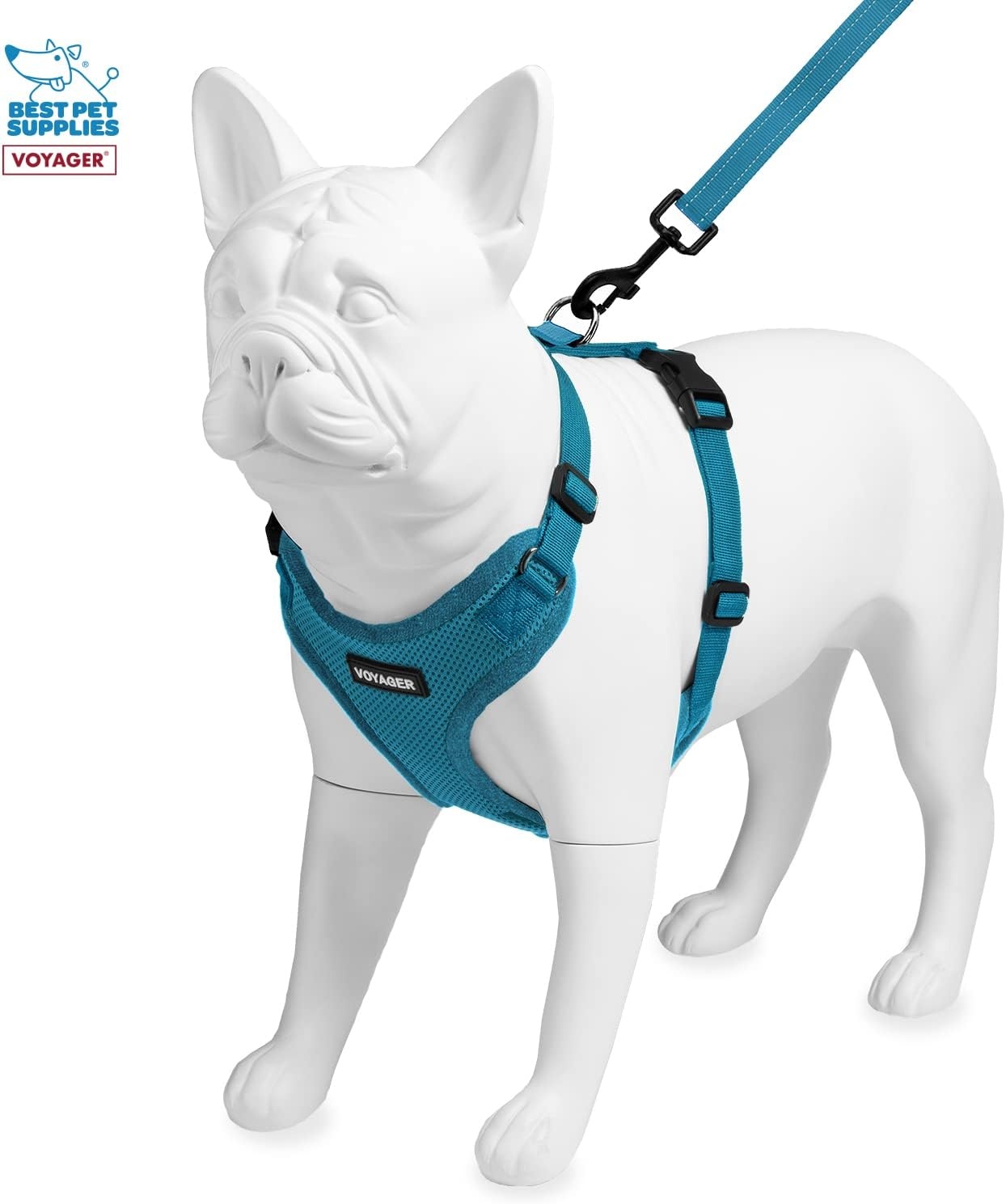 image:imageBest Pet Supplies Voyager Stepin Lock Pet Harness w Reflective Pet Leash Combo Set with Neoprene Handle 5ft Supports Small Medium and Large Breed PuppiesCats PurpleBlack Trim LHarness Leash Set Turquoise
