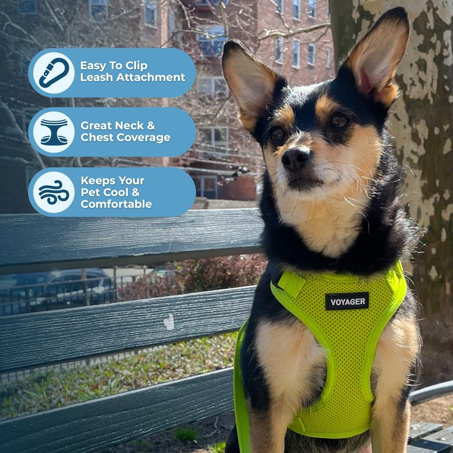 image:imageBest Pet Supplies Voyager Stepin Lock Pet Harness w Reflective Pet Leash Combo Set with Neoprene Handle 5ft Supports Small Medium and Large Breed PuppiesCats PurpleBlack Trim LHarness Leash Set Lime Green